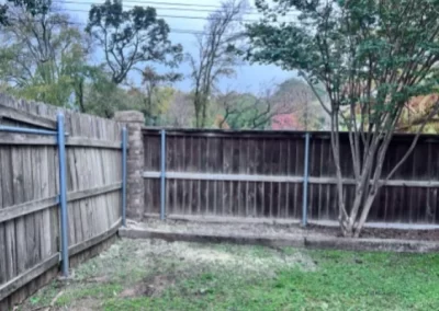 Dependable tree expert