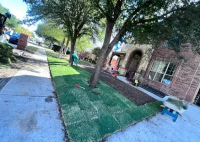 Efficient tree expert