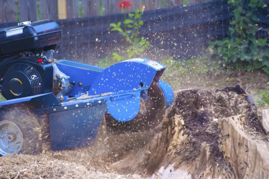 Expert Tree Stump Grinding Irving, TX