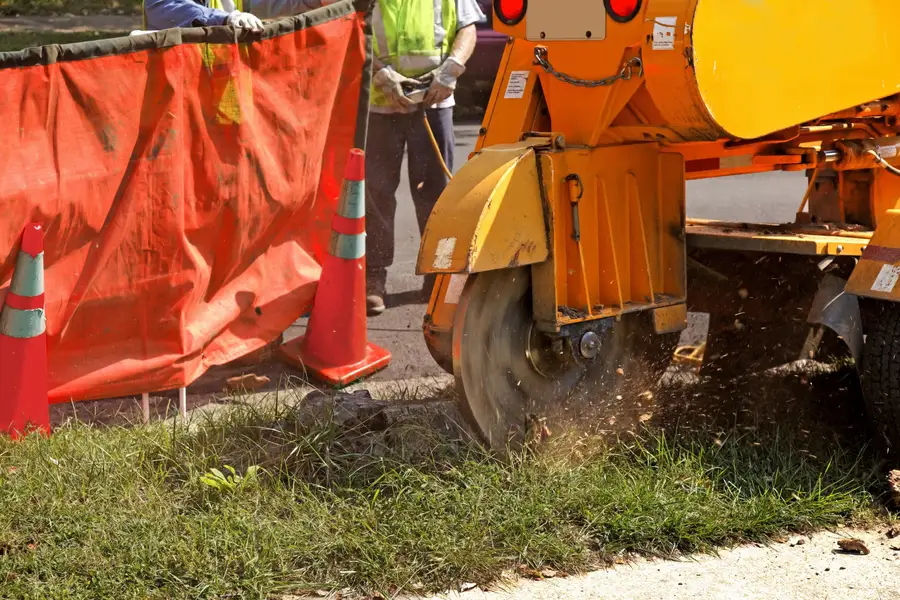 Local Tree Stump Grinding Irving, TX