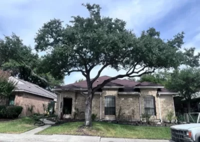 Reliable tree specialist