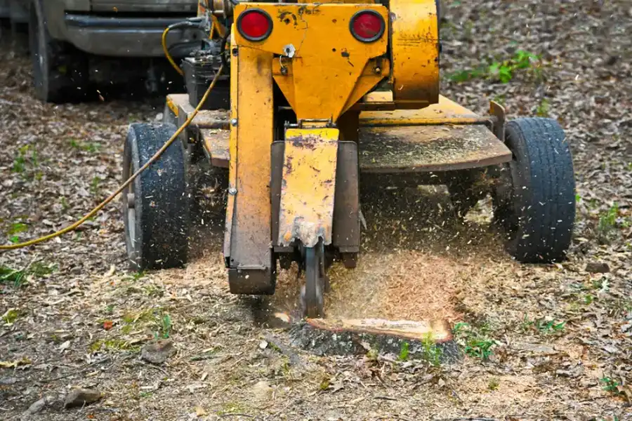 The Tree Stump Grinding Process Explained For Homeowners in Irving, TX The Tree Stump Grinding Process Explained For Homeowners in Irving, TX