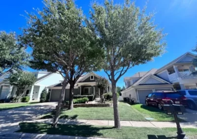 Top-notch tree expert