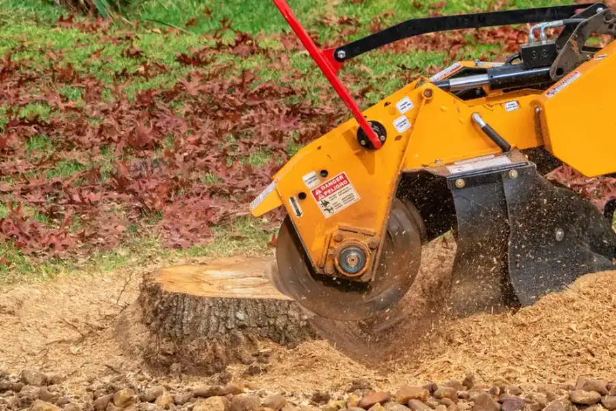 Top-rated Tree Stump Grinding Irving, TX