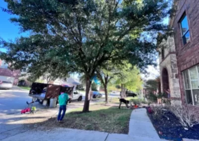 Top-rated tree specialist