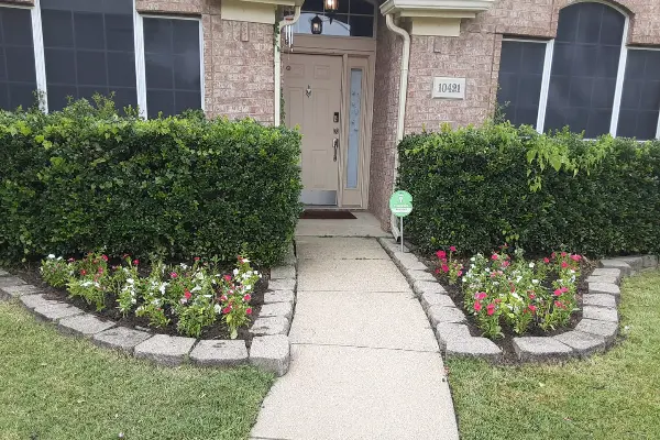 Trusted tree expert in Irving, TX Trusted tree expert in Irving, TX