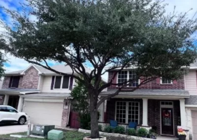 Trusted tree specialist