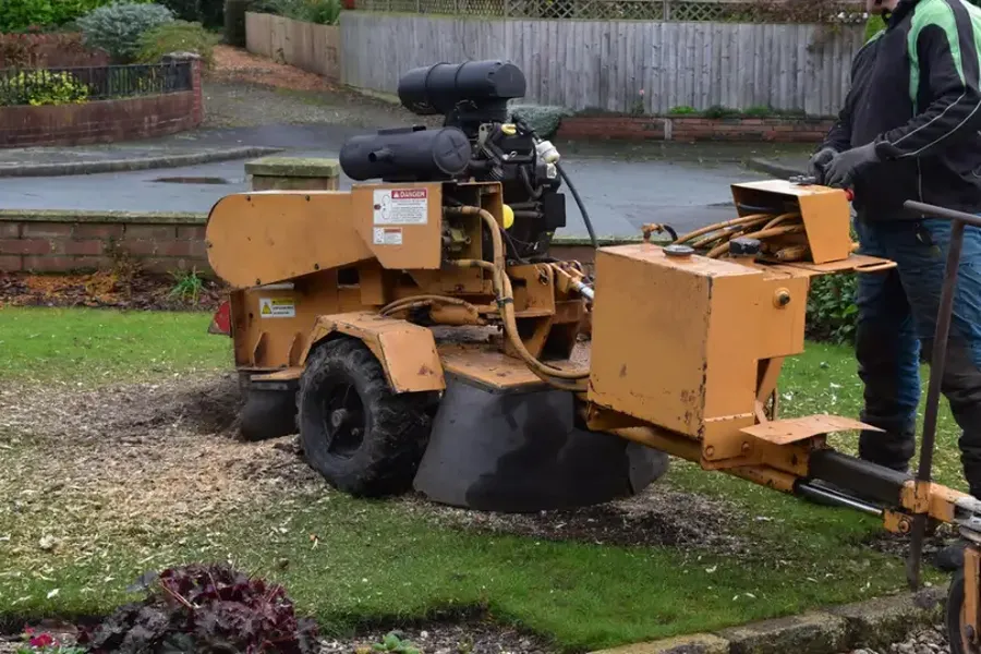When Should You Consider Tree Stump Grinding Services Irving, TX When Should You Consider Tree Stump Grinding Services Irving, TX