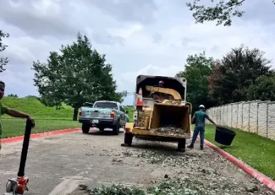 Affordable Tree Company