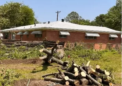 Dependable Tree Expert