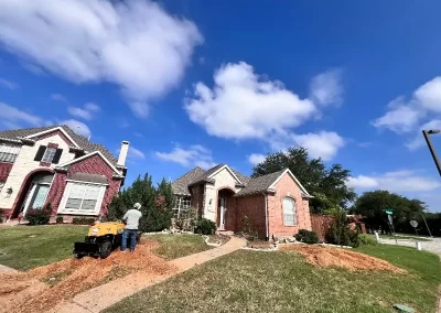 Reliable Tree Service