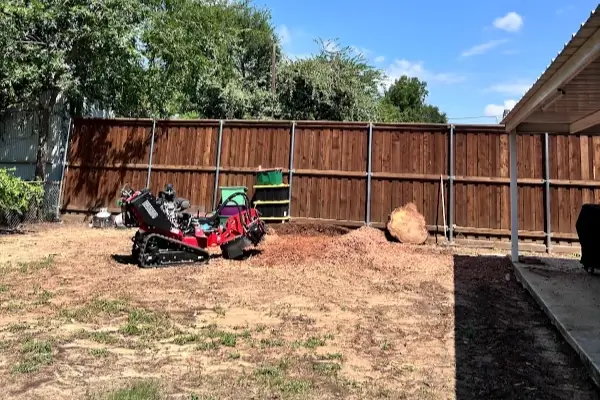 Tree Stump Grinding