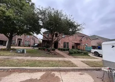 Trusted Tree Service